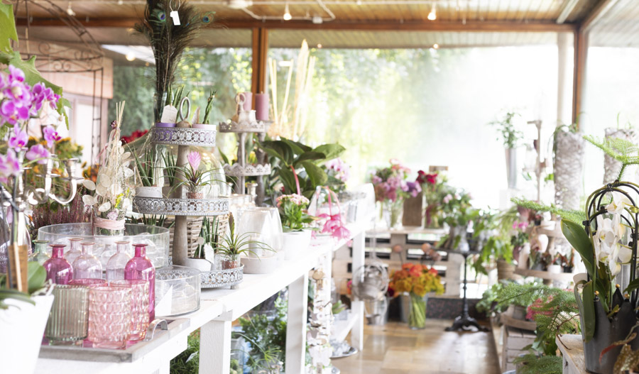 Floristik an der Stör Beate Molzahn Titel Blumengeschäft 01