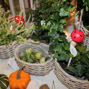 Floristik an der Stör Beate Molzahn Pflanzgefäße 13